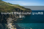 GrayHat世界知名GrayHat (gray韩国歌手)