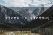 是什么意思 UIUE (是什么意思us)