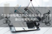 不想删除暗藏怎样办 待提升作品 (不想删除暗藏的东西)