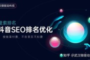 抖音seo排名帝搜软件怎样样 (抖音SEO排名)