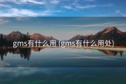 gms有什么用 (gms有什么用处)