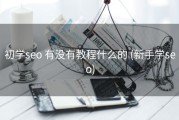 初学seo 有没有教程什么的 (新手学seo)