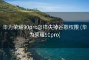 华为荣耀90pro怎样失掉谷歌权限 (华为荣耀90pro)