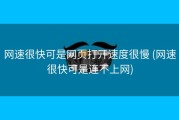 网速很快可是网页打开速度很慢 (网速很快可是连不上网)