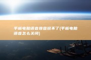 平板电脑语音搜查说不了 (平板电脑语音怎么关闭)