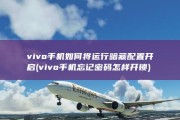 vivo手机如何将运行暗藏配置开启 (vivo手机忘记密码怎样开锁)