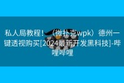 私人局教程！（微扑克wpk）德州一键透视购买[2024最新开发黑科技]-哔哩哔哩