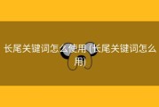 长尾关键词怎么使用 (长尾关键词怎么用)