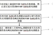 制备wse2的时刻会不会发生硒化氢 (制备乙酸乙酯)