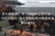 求大神解答！ 关于网站树立和网站一切权的疑问 (求大神解答杭州哪里有卖蚕丝被的)