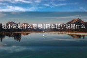 轻小说是什么意思 (日本轻小说是什么)