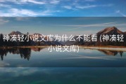 神凑轻小说文库为什么不能看 (神凑轻小说文库)
