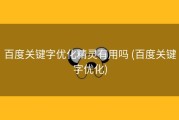 百度关键字优化精灵有用吗 (百度关键字优化)