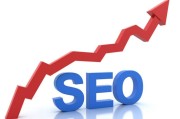 SEO 有开展吗 行业的未来在哪里呢 (seo的要求)