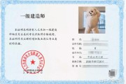 证书过时 关上网站会出现安保警报 怎样处置 (证书过时关上怎么办)