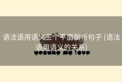 语法语用语义三个平面剖析句子 (语法语用语义的关系)