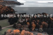 手办是什么 手办贵吗 (手办是什么手感)