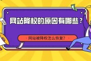 能否被降权 怎样看一个网站域名的历史权重 (如果被降权了怎么办)