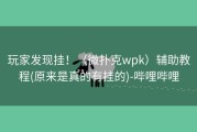 玩家发现挂！（微扑克wpk）辅助教程(原来是真的有挂的)-哔哩哔哩