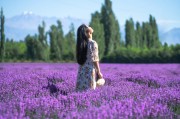 ﹥ &amp;lt 依据&amp;lt 普通初等学校招生体检上班指点意义&amp;gt 色肓可以报人工默认专业吗 (蛋仔派对)