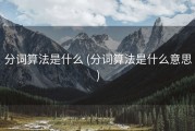 分词算法是什么 (分词算法是什么意思)