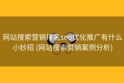 网站搜索营销排名seo优化推广有什么小妙招 (网站搜索营销案例分析)