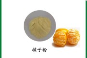 高考水粉橘子调色方法 (水粉高考视频教程)