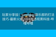 玩家分享挂！wepoker俱乐部的打法技巧-最新火爆2024款透视黑科技-哔哩哔哩