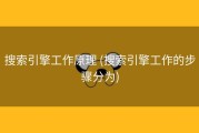 搜索引擎工作原理 (搜索引擎工作的步骤分为)