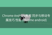Chrome Android教程 同步与移动专属技巧 性能 (chrome android)
