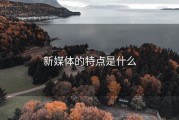 新媒体的特点是什么