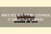 蜘蛛池 寄生虫 揭开黑帽SEO的神秘面纱 站群 (蜘蛛池寄生虫排名)