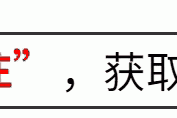 神巫六六创作历程揭秘：从口袋萝莉到我在东京教剑道的心路历程