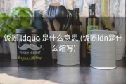 饭圈 ldquo 是什么意思 (饭圈ldn是什么缩写)