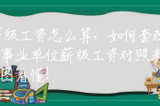 工资大略给多少 如今找个SEO优化人员 (工资大几千是什么意思)