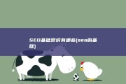 SEO基础常识有哪些 (seo的基础)