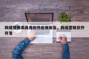网络营销类商务软件应用报告，网络营销软件开发
