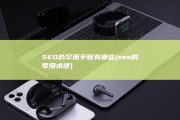SEO的罕用手腕有哪些 (seo的常用术语)