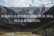 网站排名会遭到哪些起因的影响 (网站排名会遭到歧视吗)