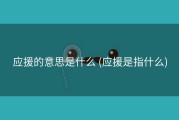 应援的意思是什么 (应援是指什么)