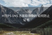 HTTPS DNS 方面取得你的 如何防止 证书