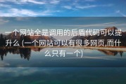 一个网站全是调用的后盾代码可以提升么 (一个网站可以有很多网页,而什么只有一个)