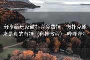分享给玩家微扑克免费挂，微扑克原来是真的有挂（有挂教程）-哔哩哔哩