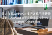 重大发现WePoKer技巧详解用挂开挂辅助，AAPOKER原来确实是有挂的（有挂教程）-哔哩哔哩