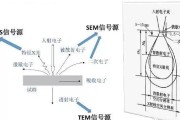 SEM的作用原理是什么 (sem的作用是什么)
