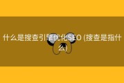什么是搜查引擎优化SEO (搜查是指什么)