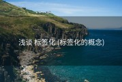 浅谈 标签化 (标签化的概念)