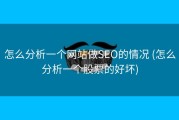 怎么分析一个网站做SEO的情况 (怎么分析一个股票的好坏)
