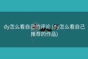 dy怎么看自己的评论 (dy怎么看自己推荐的作品)
