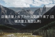 店铺流量上去了为什么又跌下来了 (店铺流量上去怎么弄)